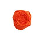 Clairefontaine Crepe Paper - 2.50 x 0.50 m - 10 Sheets - 60% Stretch