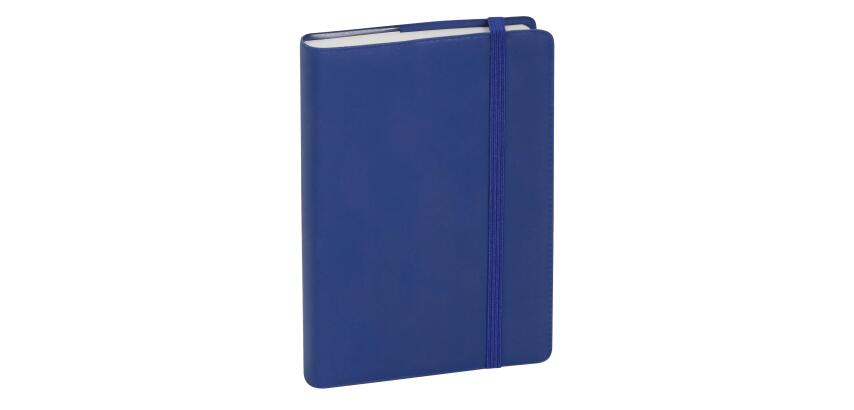 Agenda de poche Journal 15 Quadrillé Plastique 9 x 14,6 cm Janvier à Décembre 2027 - Coloris aléatoire