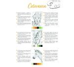 ODELIA, Bloc de coloriage multi-techniques de 20 feuilles A4 250g, Les animaux