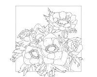Carré 100% soie - 90x90cm Anemones - Blanc
