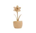 Narcis in pot - Kraft