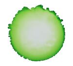 Alkoholtinte 20ml, Grasgrün - Wiesengrün|
