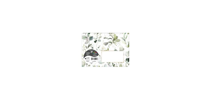 COLLECTION EUCALYPTUS, Paquet de 20 enveloppes imprimées Pollen 114x162mm 120g/m2 - Vert 3 - Vert