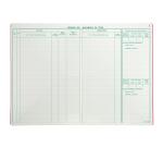 Injektion 297X210 Wertpapierbewegungsregister 40 Seiten - Sortierte Farben