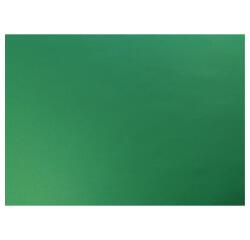 Fotokarton, Packung mit 10 Blatt 270g, eingeschweißt im Format 50x65cm - Vert Empire