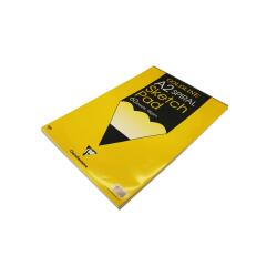 Goldline Sketch bloc spiralé 120F A2 95g