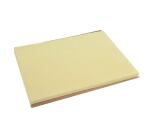 Barquette de 500 sets de table papier Tiss Lack, unis - Format 30x40 cm