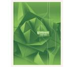 Cahier brochure rembordée rigide 7000 24x32 cm 192 pages grands carreaux 70 g - Assortis