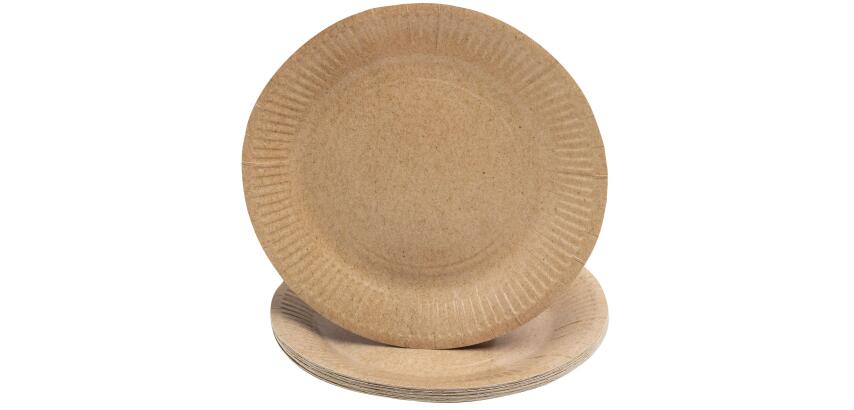 20 Assiettes en carton rondes, 23 cm