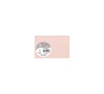 Paquet de 25 cartes simples Pollen 82x128mm 210g/m2 - Opaline