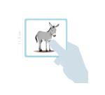 Imagier, Animaux familiers - Multicolore