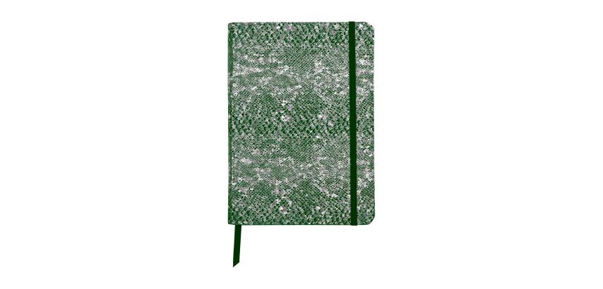 CÉLESTE Carnet A5 souple 144 pages, Lignées Lazer Vert Argent