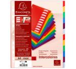 Register A4 Maxi PP 300µ, 12 neutrale Taben - Farben sortiert