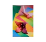 ORIGAMI, Pochette de 100 feuilles 70g/m2 au format 20x20cm - Multicolore