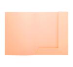 Paquete de 5 Subcarpetas SUPER con 2 solapas 210 g/m2 Exacompta - Colores surtidos
