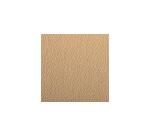 Etival Color paquet 25F A3 160g - Camel