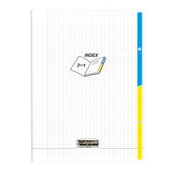 Cahier piqué 2 index 8000 POLYPRO 24x32cm 96 pages grands carreaux Incolore - Incolore