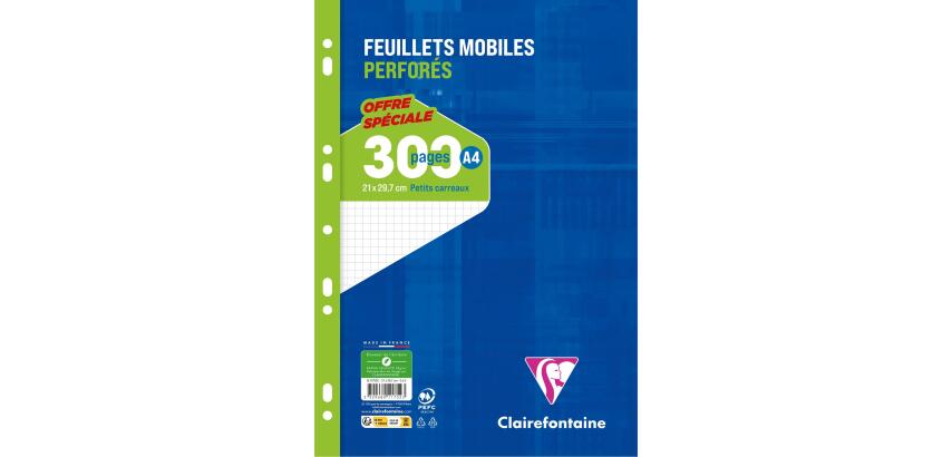 Feuillets mobiles sous film A4 300 pages perforées petits carreaux