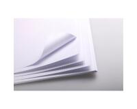 Bristol rame 25F 50x65cm 205g feuilles quadrillées 5/5