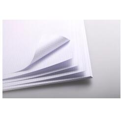 Bristol rame 25F 50x65cm 205g feuilles quadrillées 5/5