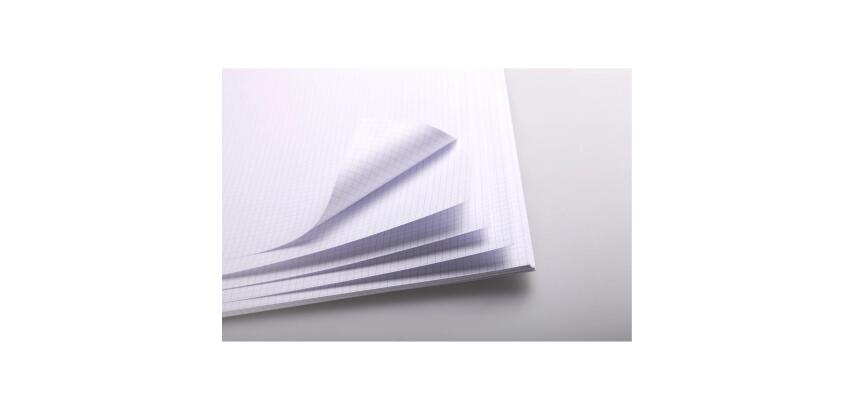 Bristol rame 25F 50x65cm 205g feuilles quadrillées 5/5
