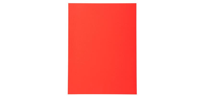 FOREVER 220-Pak van 100 dossiermappen 220g/m2 24x32cm voor A4.