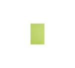 Rame de 480F soie 75x50cm, Vert pomme - Vert pomme