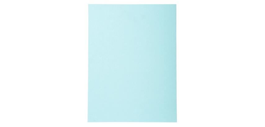 Exacompta Forever Recycled Square Cut Folder 220gsm (A4)