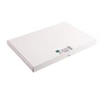 Pk 100 Exa Record Cards 297/420 White - White