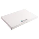 Confezione 100 cartoncini bristol bianco senza righe non perforati 297x420mm - Bianco
