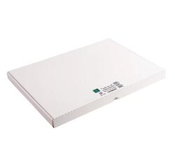 Étui de 100 fiches - bristol uni non perforé 297x420mm - Blanc