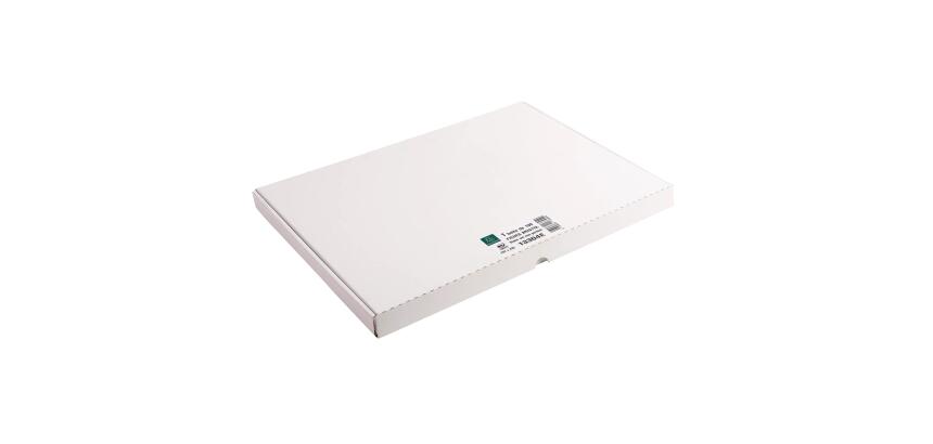 Pk 100 Exa Record Cards 297/420 White - White