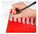 Register DIN A4 aus festem PP 350µ, blanko, 12-teilig - Farben sortiert