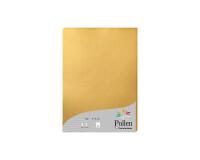 Etui de 25 feuilles Pollen 210x297 210g/m2 - Or