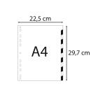 Divider Lightweight PP A4 12P ColouRed - Assorted colours