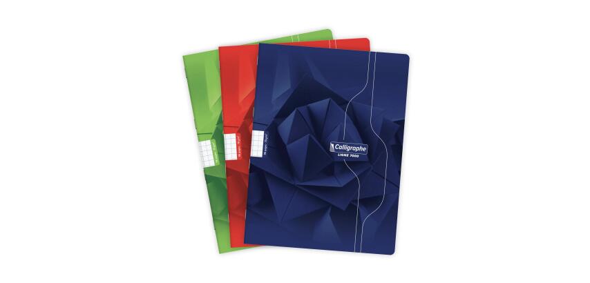 Clairefontaine Stapled Notebook, Ligne 7000, Seyes, 24x32cm, 70g - Assortment