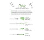 Odelia Creative Notebook 20 Sheets, A4 250g, Gardens