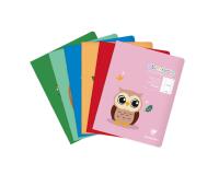 Cahier piqué 17x22 cm 32 pages grands carreaux 4 mm agrandis 16/16 mm - Assortis