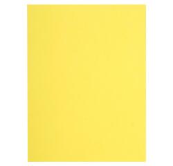 Paquete de 100 Subcarpetas Exacompta Flash 220 g/m2