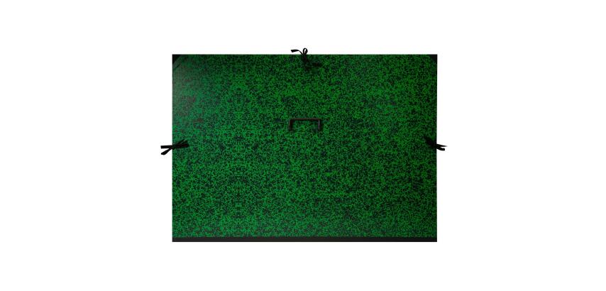 Carton à dessin Annonay 3 cordons 75x105cm vert poignée - Vert