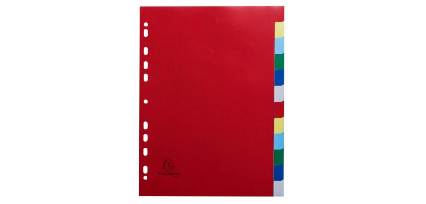 Divider Lightweight PP A4 12P ColouRed - Assorted colours