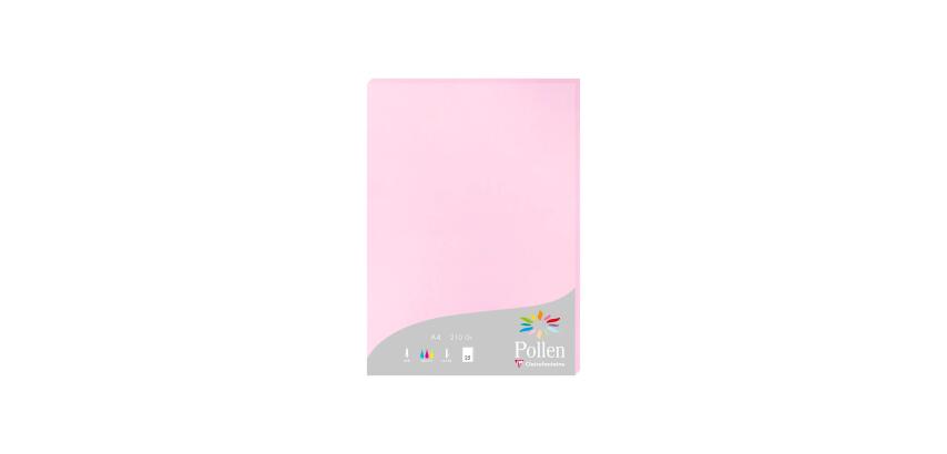 Etui de 25 feuilles Pollen 210x297 210g/m2