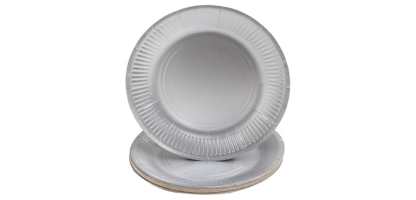10 Assiettes en carton rondes, 23 cm