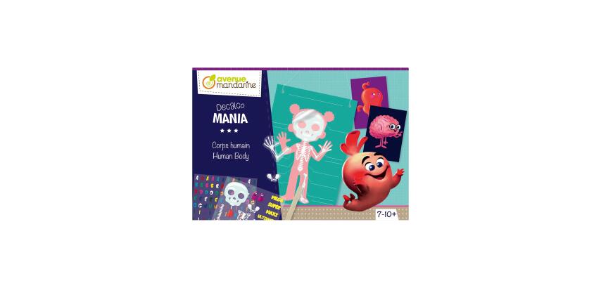 Creative box, Decalco Mania, Human body - Multicolour