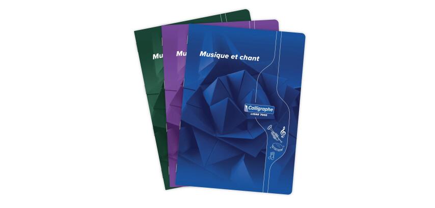 7000, Muziek- & zangschrift A4 21x29,7cm 24 blad séyès/notenbalken 70g. - Geassorteerde kleuren