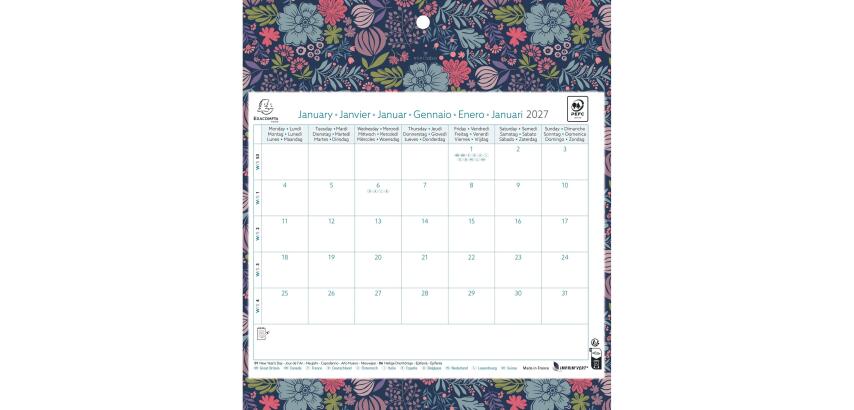 Calendrier mensuel EasyCal Mini Labo avec feuillets détachables 24 x 18 cm agrafé sur plaque cartonnée imprimée 27,5 x 30,5 cm 2027 - Visuels assortis