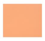 Tulipe Tekenpapier etui van 50 blad 160g A3 (29,7x42cm).