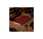 Rhodiarama carnet souple A5 160 pages dot papier ivoire 90g fermeture élastique - Lie de vin
