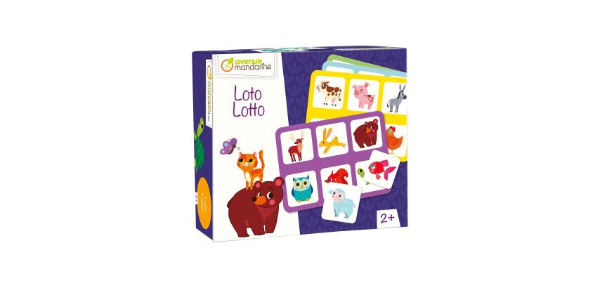 Lotto, Pets - Multicolour