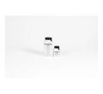 Gesso 300ml multilangues - Blanc